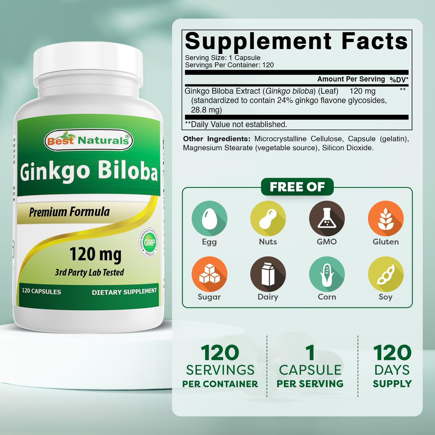 Ginkgo Biloba 120 mg capsules bottle label close-up