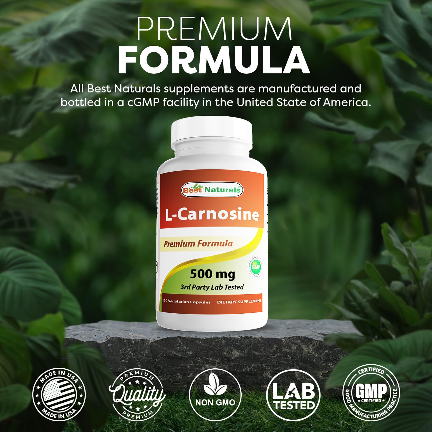 Pack of three bottles of Best Naturals L-Carnosine 500 mg