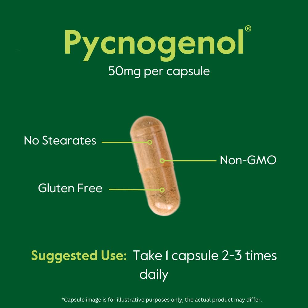 Close-up of Pycnogenol ingredients on label