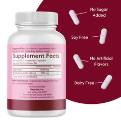 Digestive support concept image highlighting Bromelain