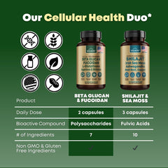 Non-GMO and Gluten Free certification icons