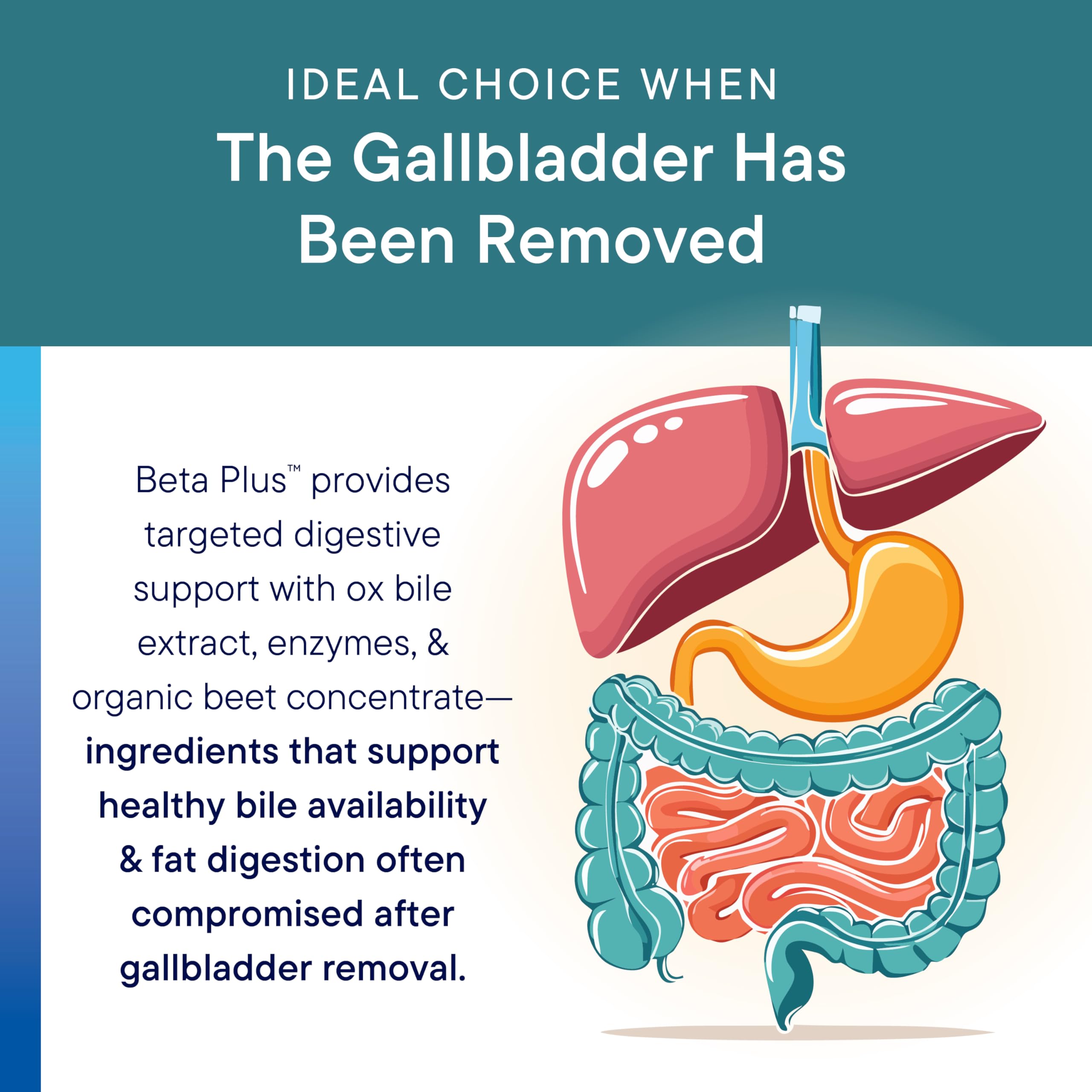 Beta-Plus gallbladder support feature image