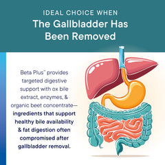 Beta-Plus gallbladder support feature image