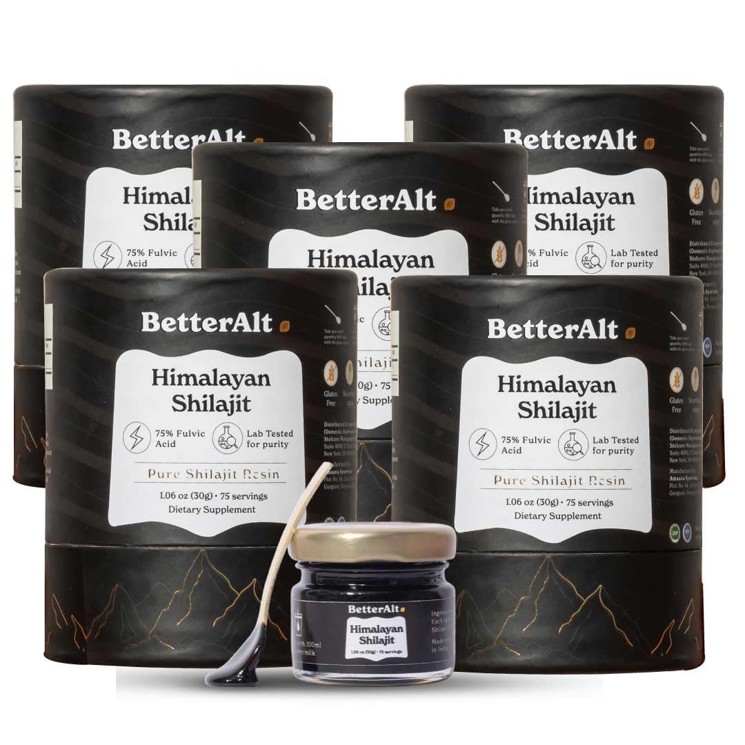 Better Alt Himalayan Shilajit resin pack 5 supports daily energy and wellness.