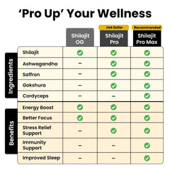 Concept of energy and immune support from Shilajit resin