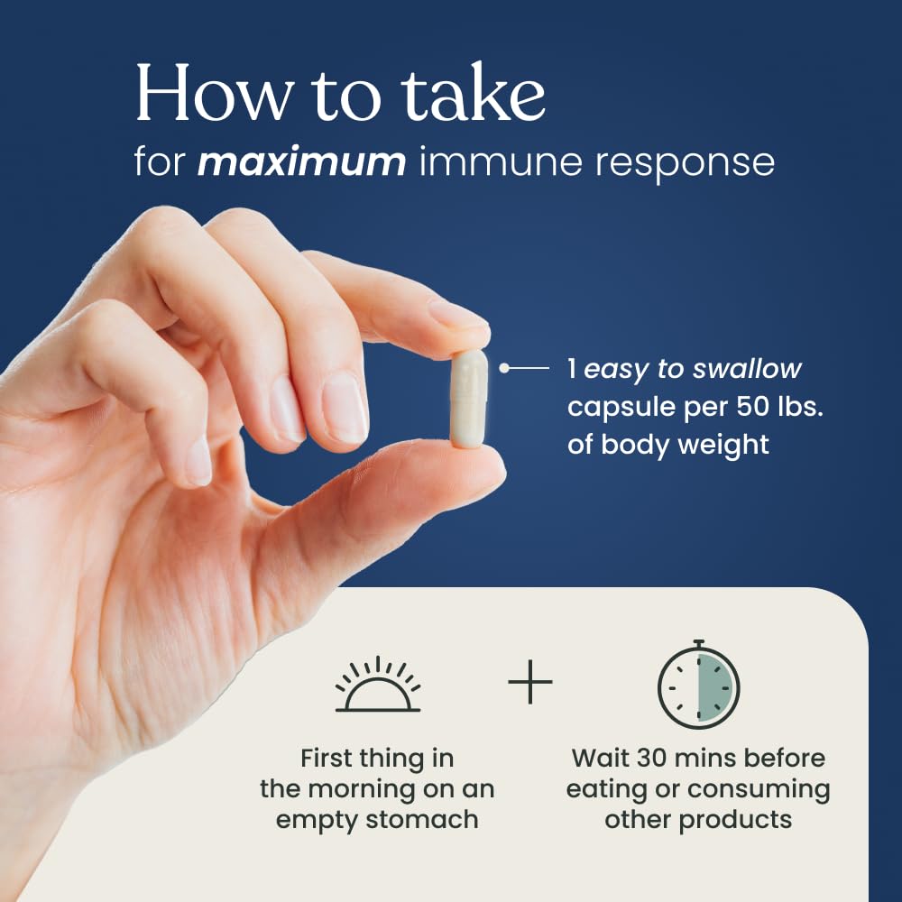 Better Way Health Beta Glucan 500 tablet texture closeup