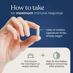 Better Way Health Beta Glucan 500 tablet texture closeup