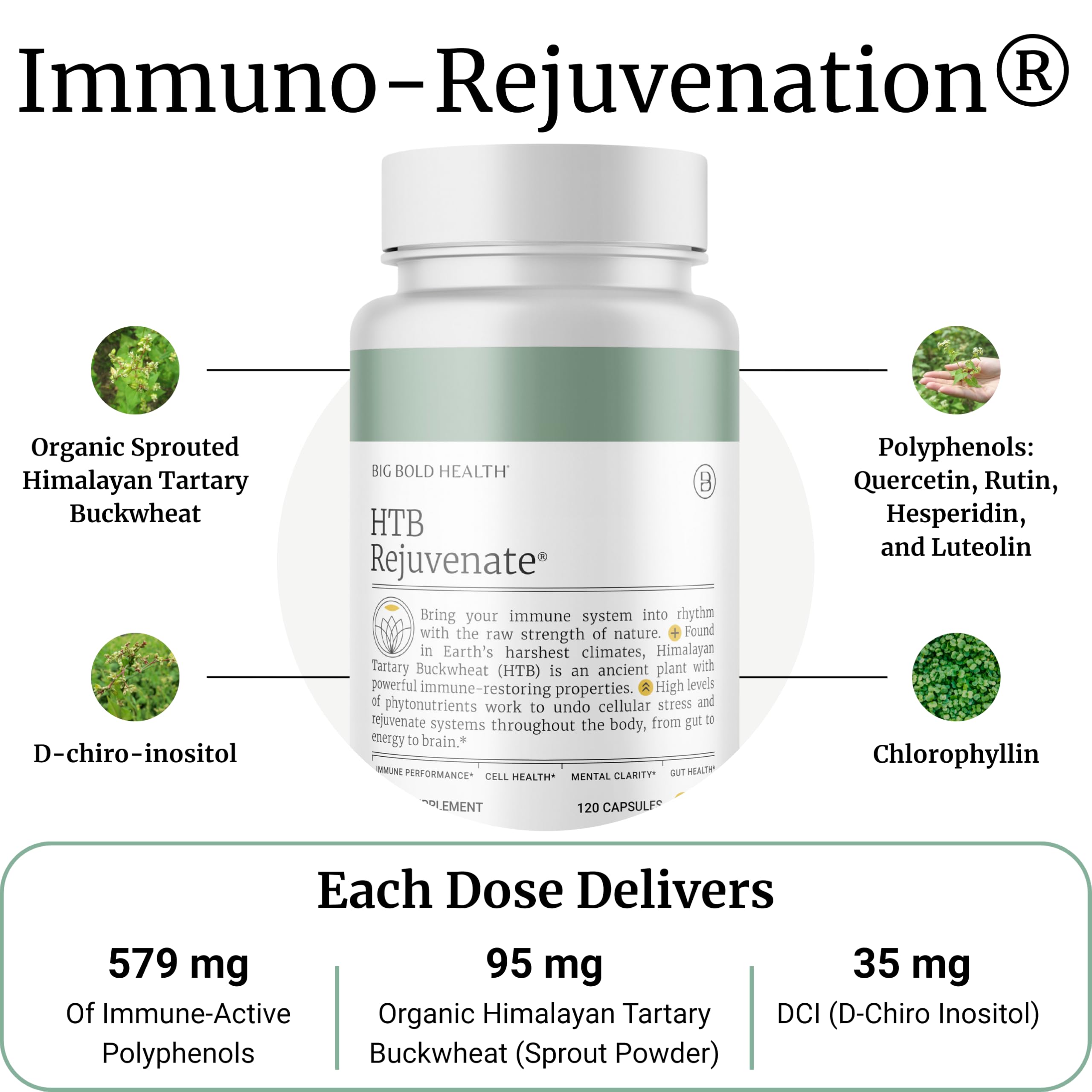 Close-up of HTB Immune Rejuvenate capsules offering a simple daily ritual with Himalayan Tartary Buckwheat polyphenols.