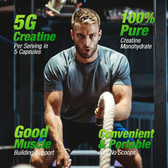 Purity and 99.97% creatine monohydrate designation