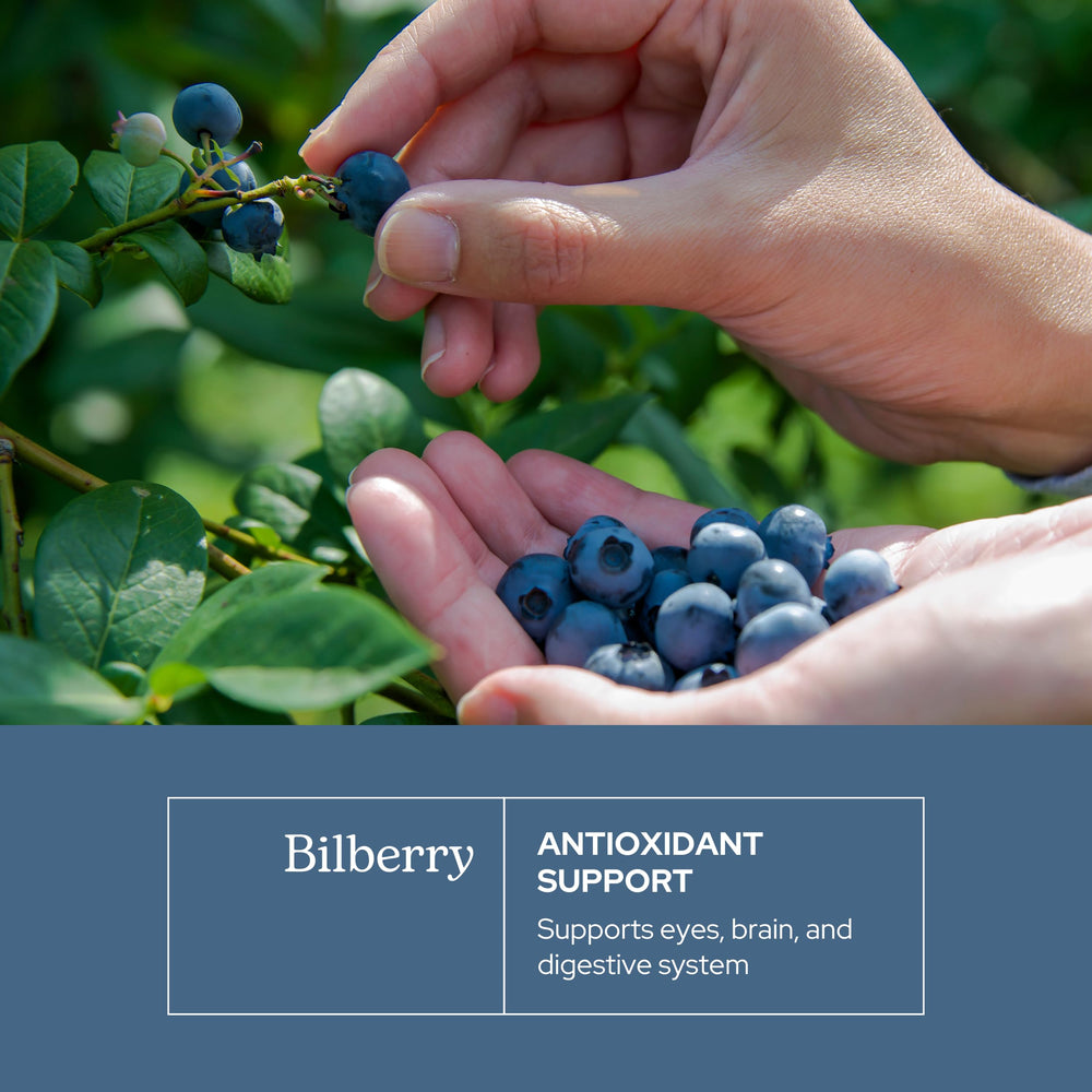 Bilberry capsules for vision health