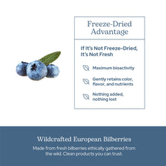Circulation health concept with bilberry imagery