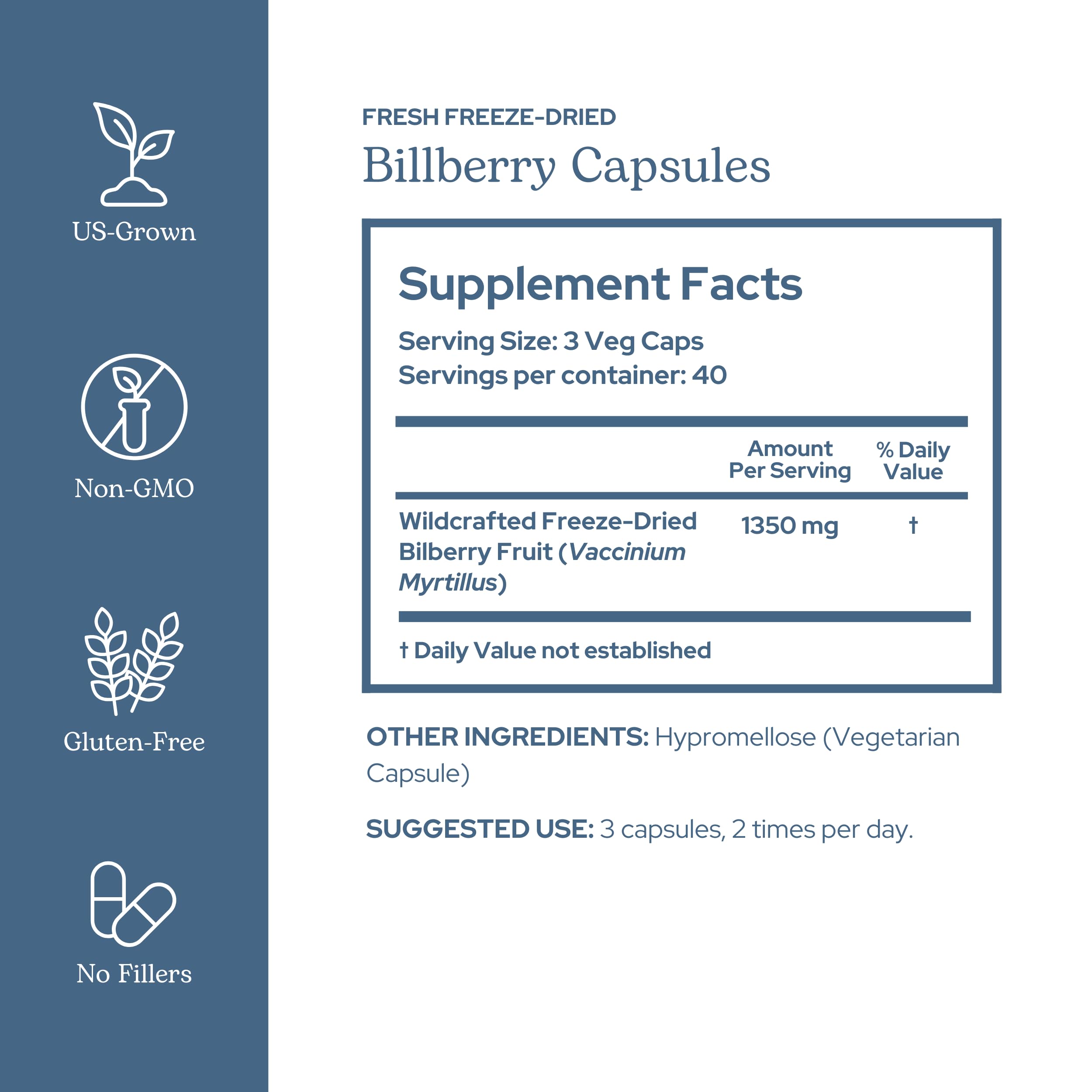 Wildcrafted bilberry fruit freeze-dried raw