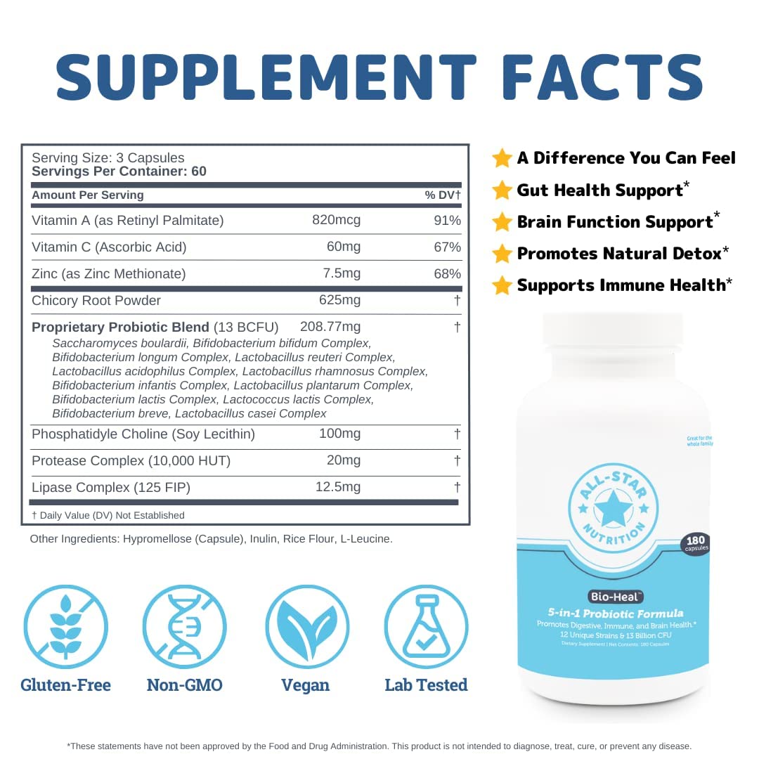 Illustration showing brain function benefits from Bio-Heal probiotic