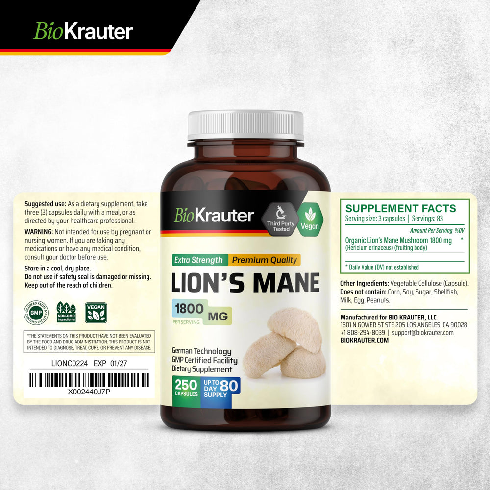 Brain health imagery featuring Lions Mane