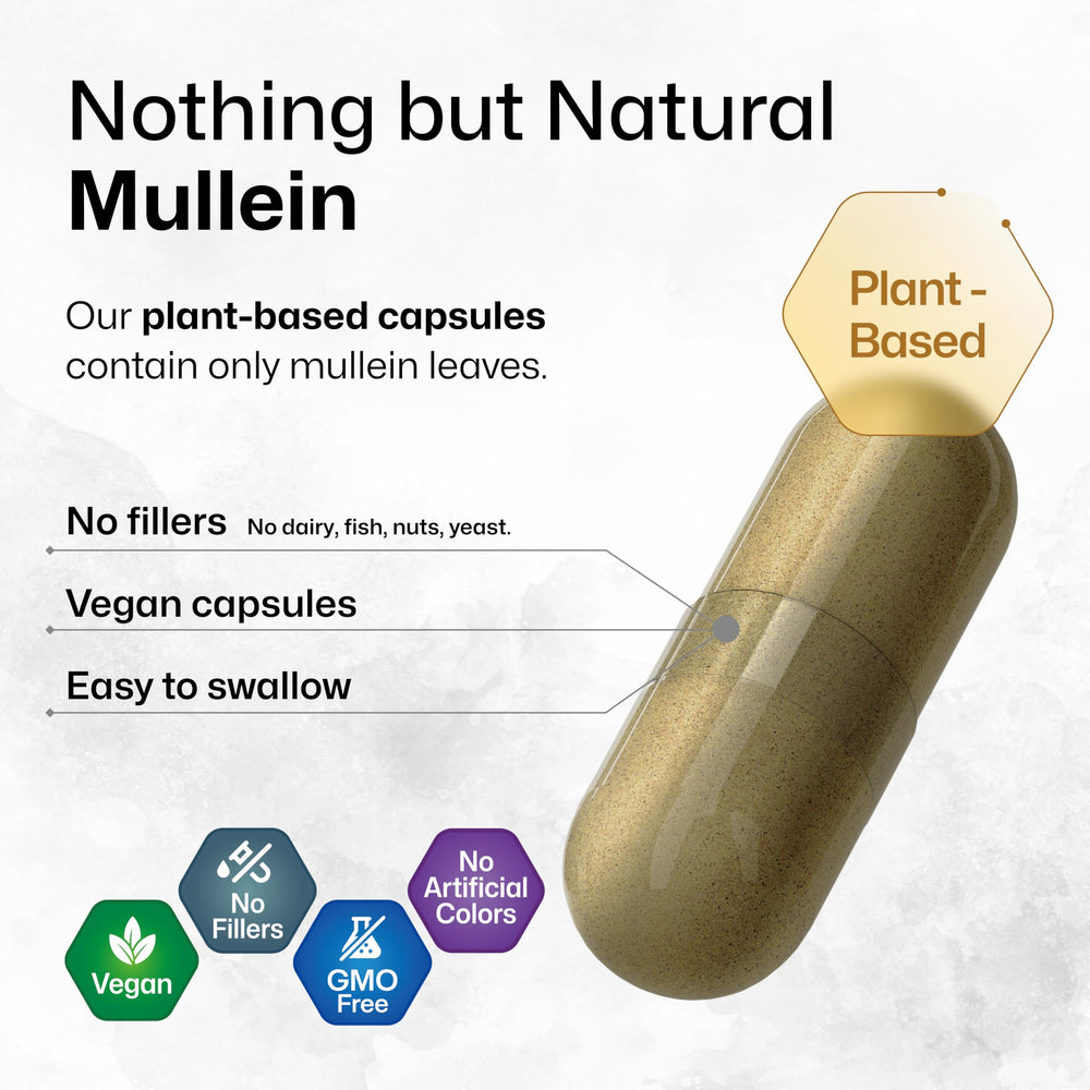BIO KRAUTER Mullein Capsules on a white background