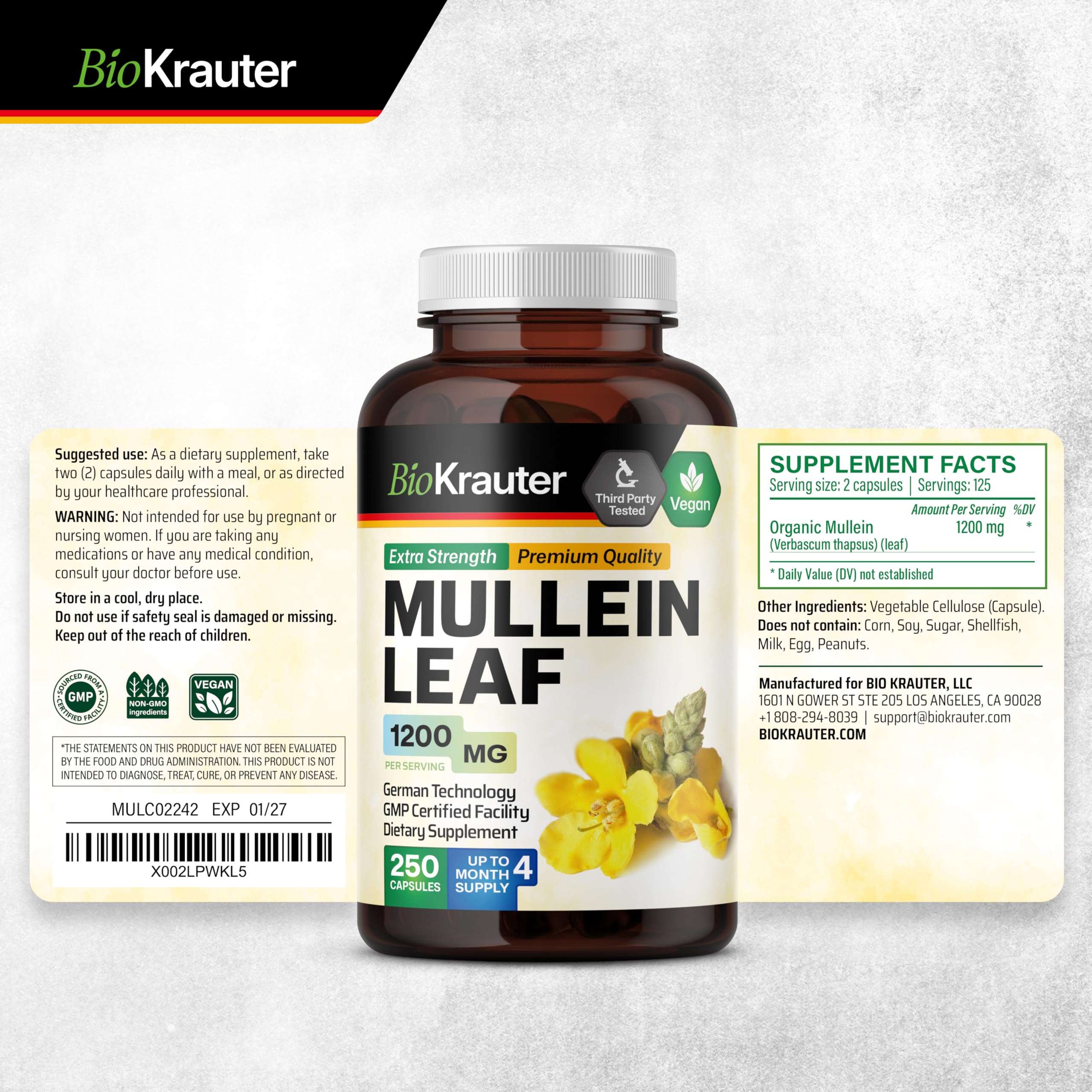 Lung health concept with mullein leaves