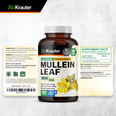 Lung health concept with mullein leaves