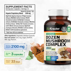 Assorted mushrooms used in the blend: Lion’s Mane, Reishi, Cordyceps