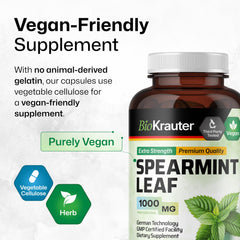 Graphic representing digestive support from spearmint capsules