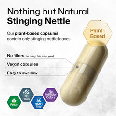 Single stinging nettle capsule