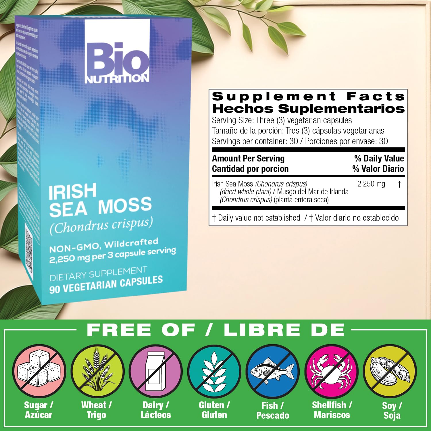 Close-up of dried Irish Sea Moss