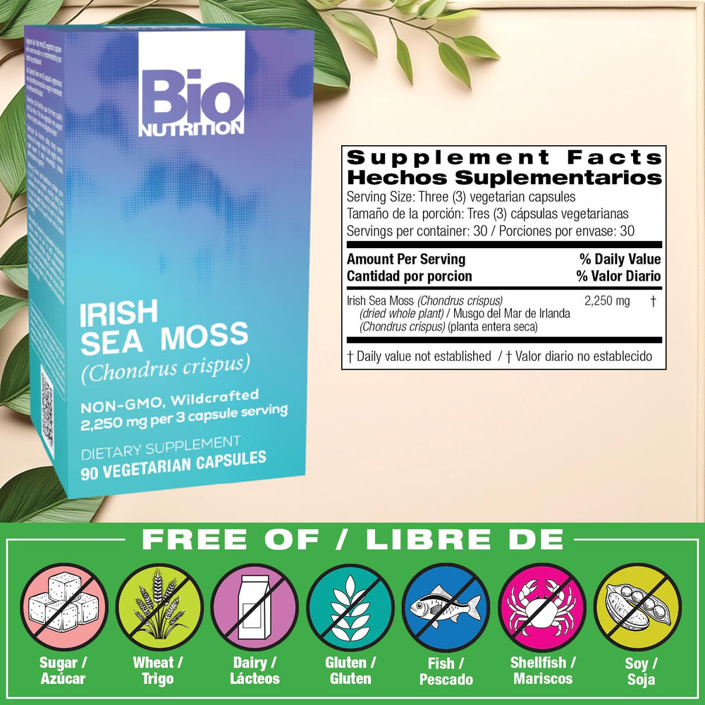 Close-up of dried Irish Sea Moss