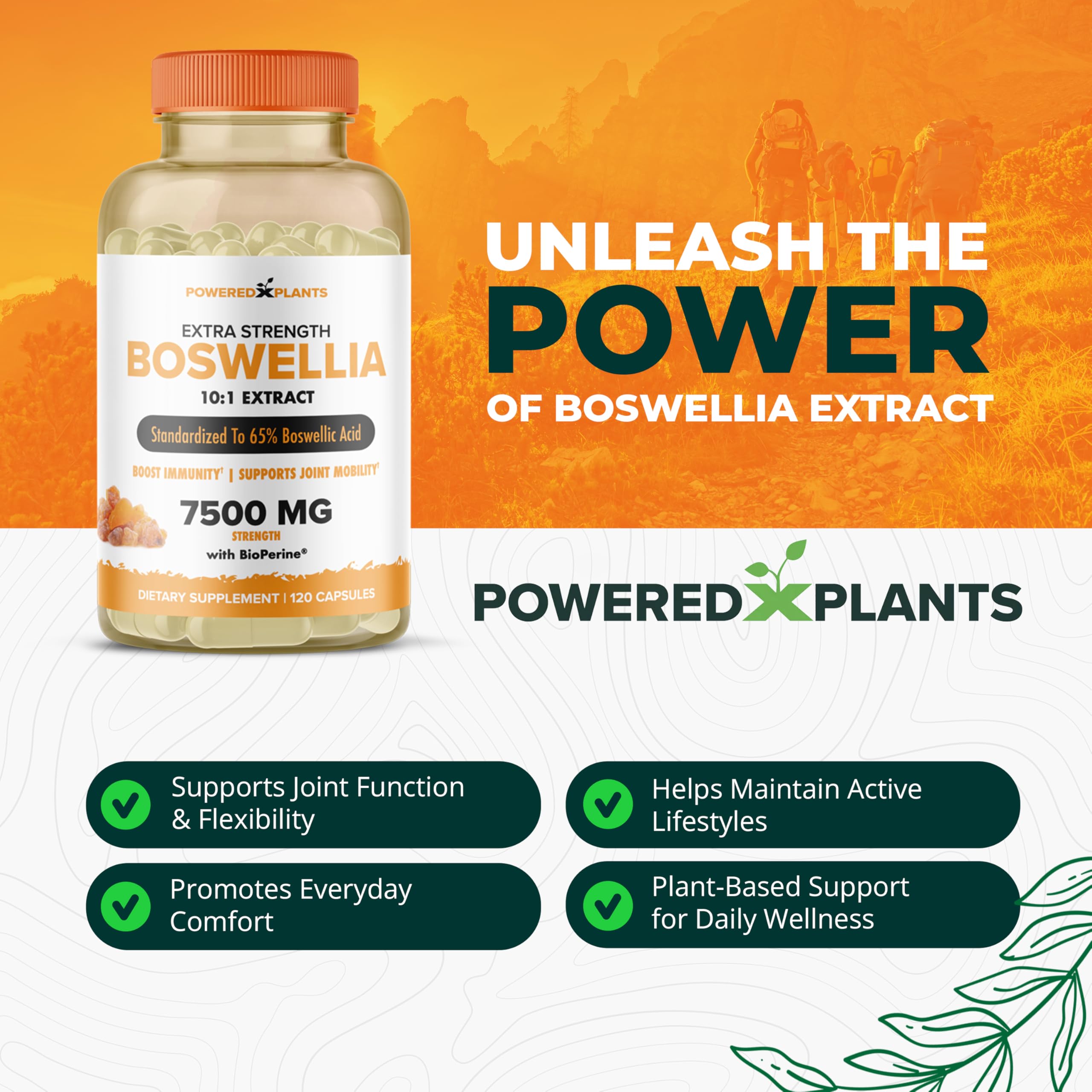 BioPerine black pepper extract for absorption