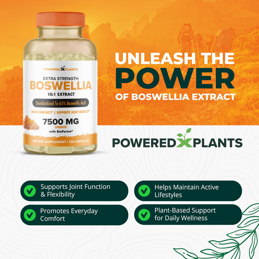 BioPerine black pepper extract for absorption