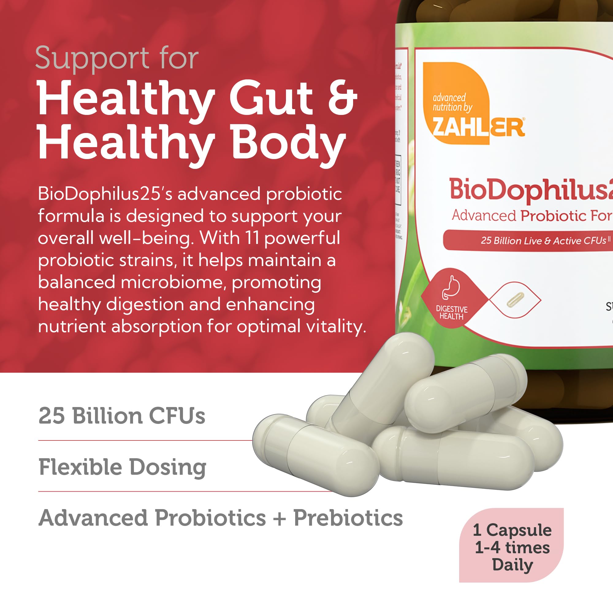 Ingredients and probiotic strains for BioDophilus25