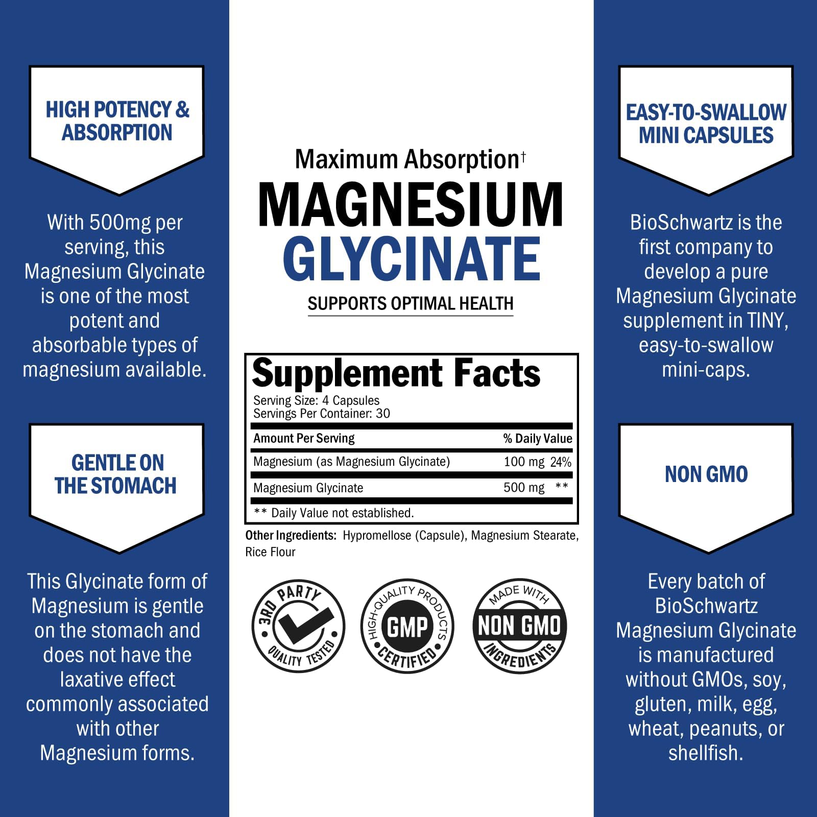 Ingredient panel of BioSchwartz Magnesium Glycinate 500mg