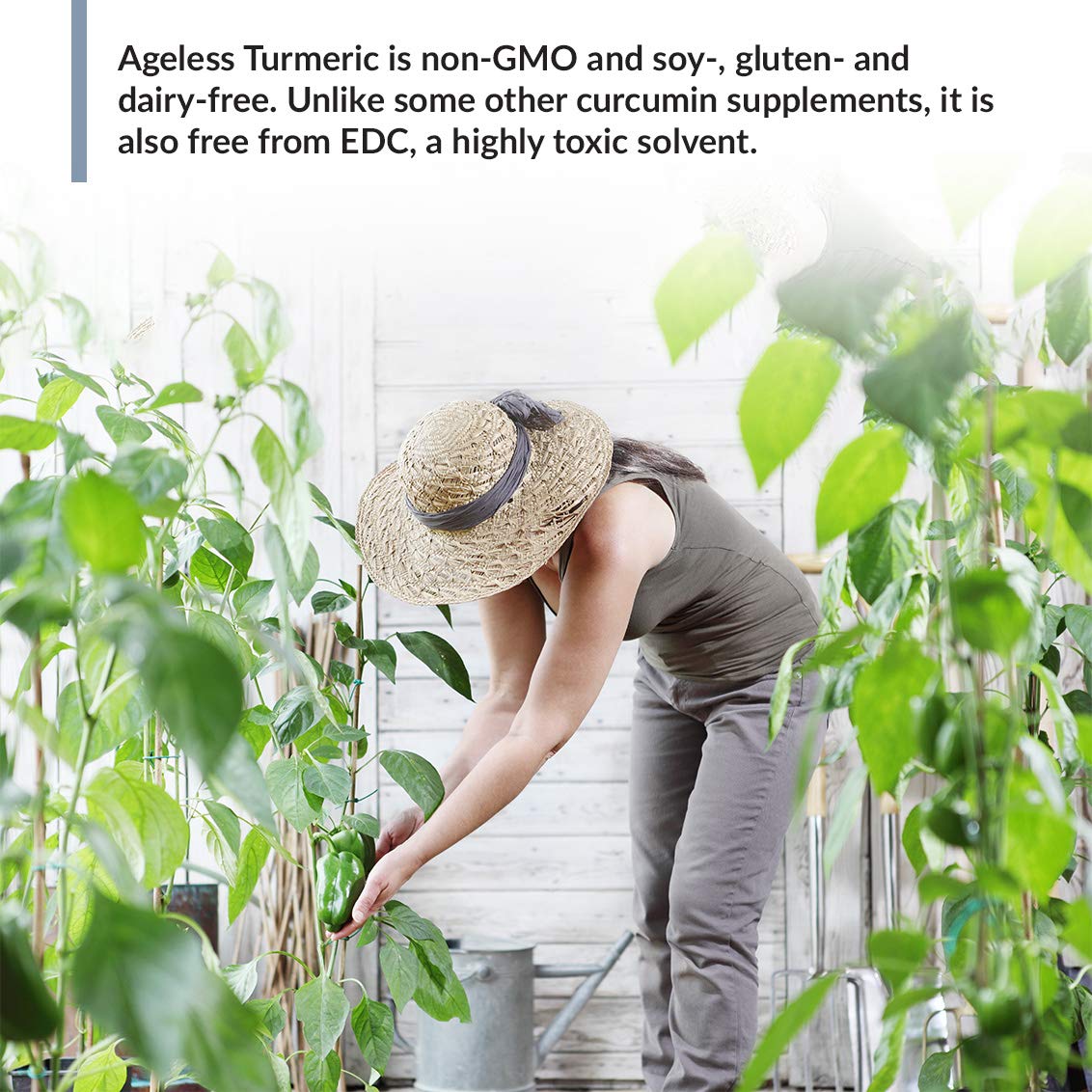 Non-GMO, soy-free, gluten-free turmeric supplement
