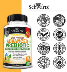 Illustration of balanced gut flora and digestion