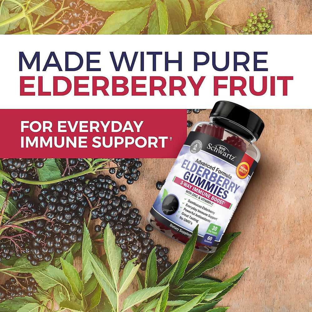 Premium Black Sambucus elderberries used in BioSchwartz gummies