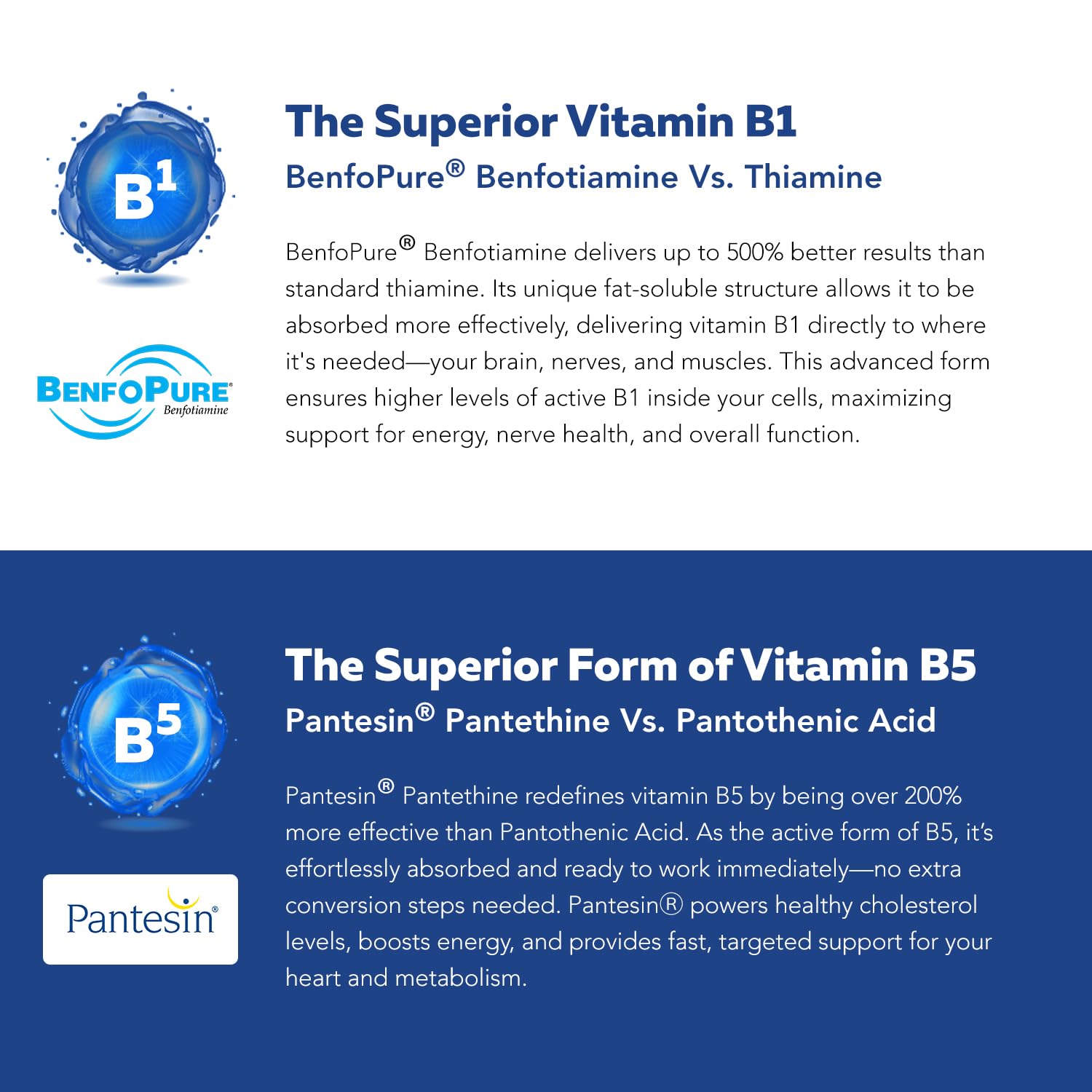 60 servings per bottle of BioActive Vitamin B Complex