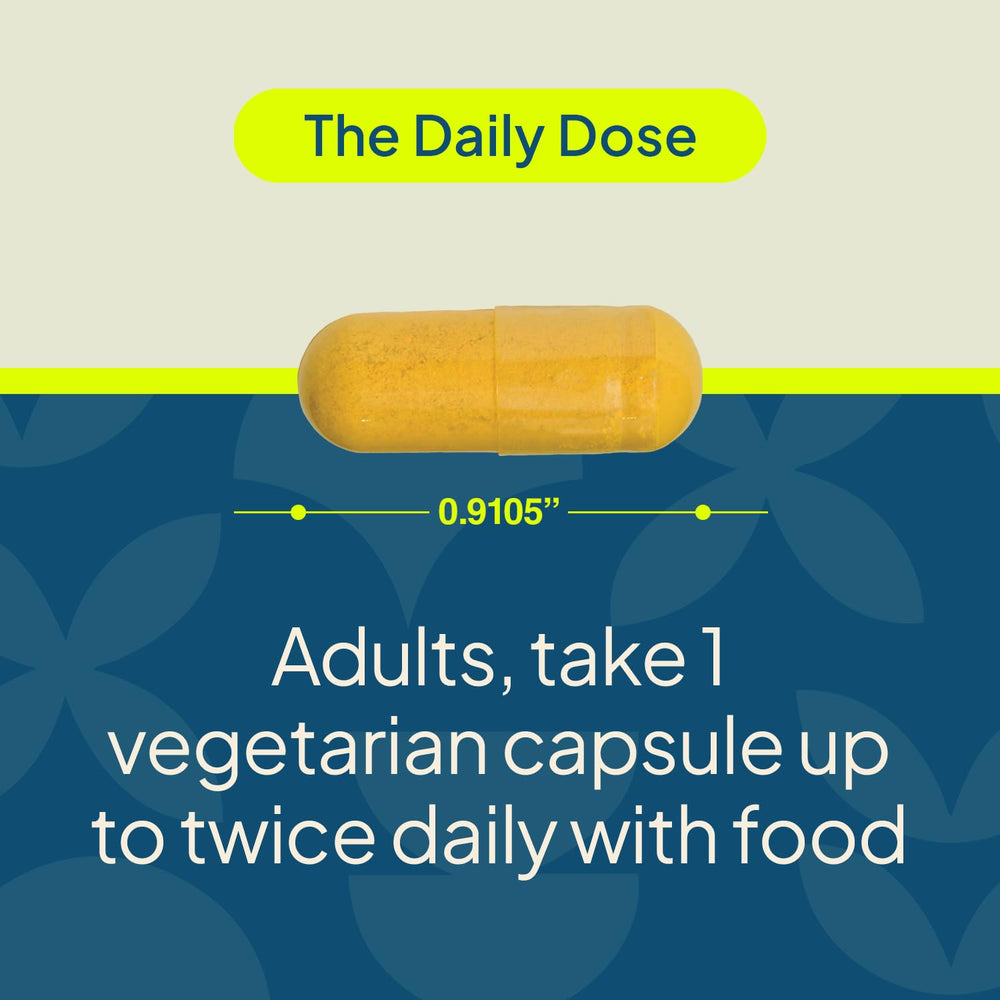 Graphic showing turmeric curcumin bioavailability