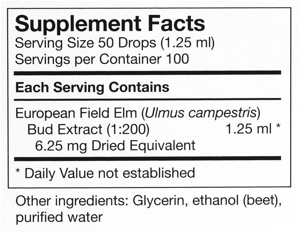 Biodynamically grown herbs used for Ulmus Campestris gemmotherapy