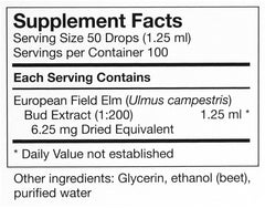 Biodynamically grown herbs used for Ulmus Campestris gemmotherapy