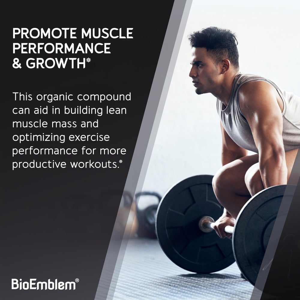 Micronized creatine monohydrate powder close-up