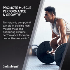 Micronized creatine monohydrate powder close-up