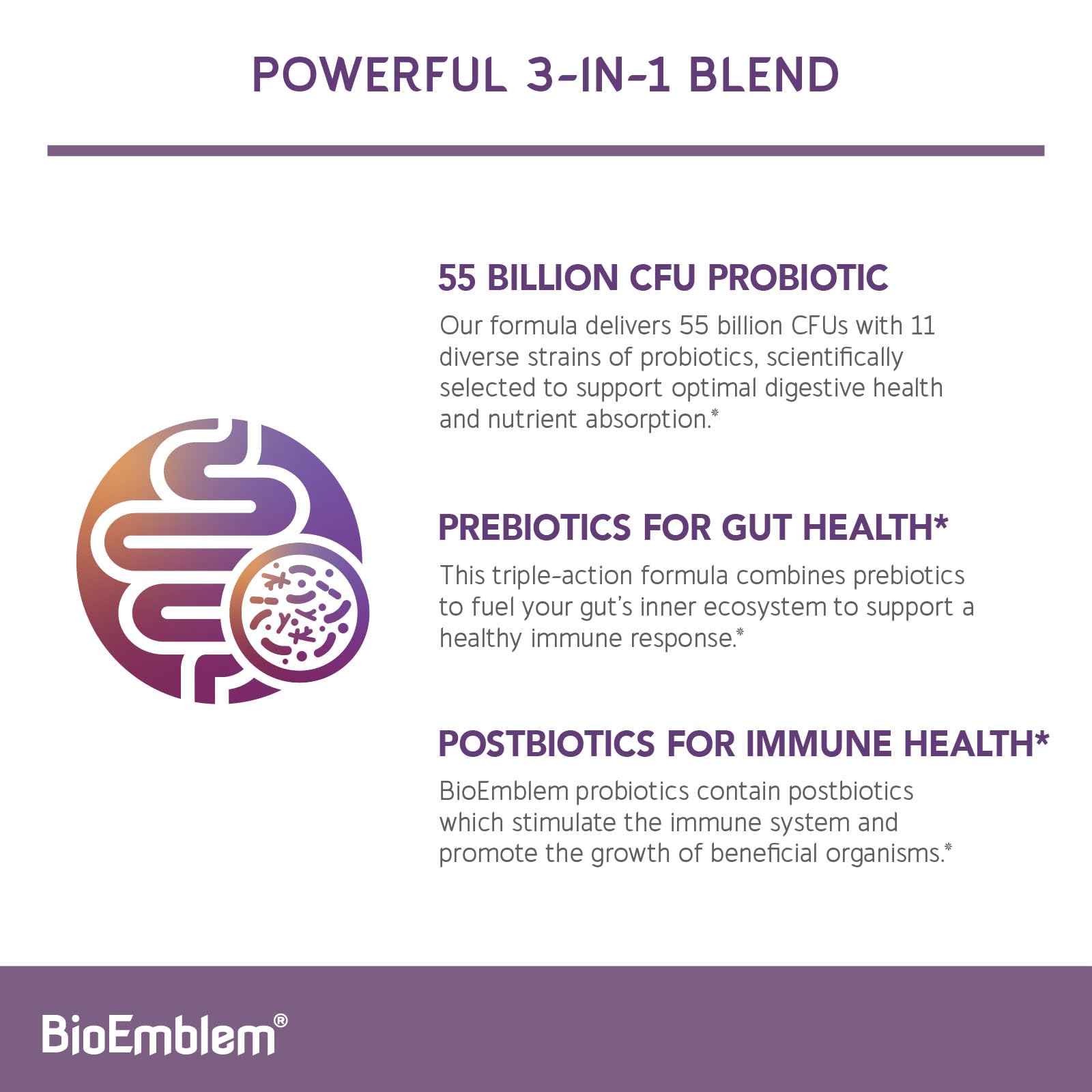 Graphic illustrating 11 probiotic strains