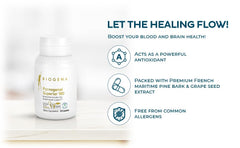 Packaging box and bottle of Biogena Pycnogenol 100 mg Gold