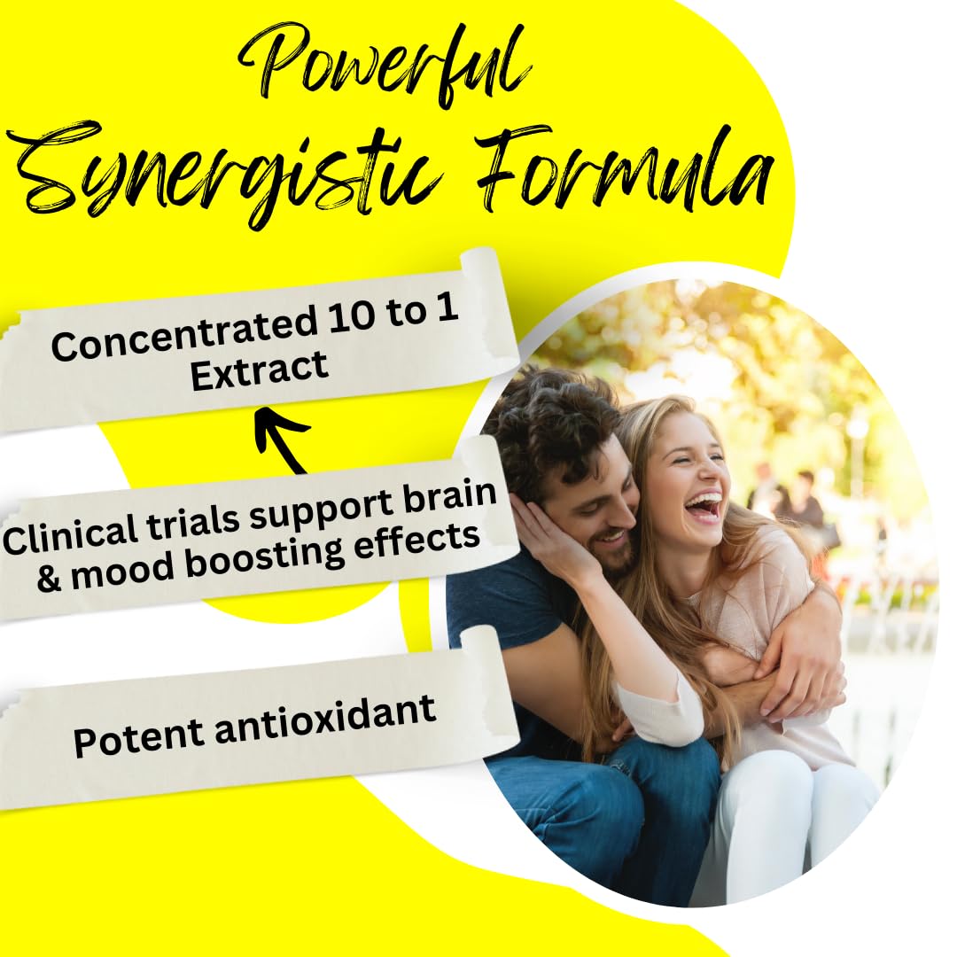Brain focus and mood support concept with lions mane