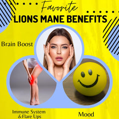 Litropane Organic Lions Mane for immune and brain support