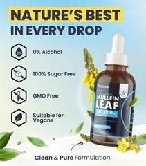 Mullein drops ingredients and GMP badge