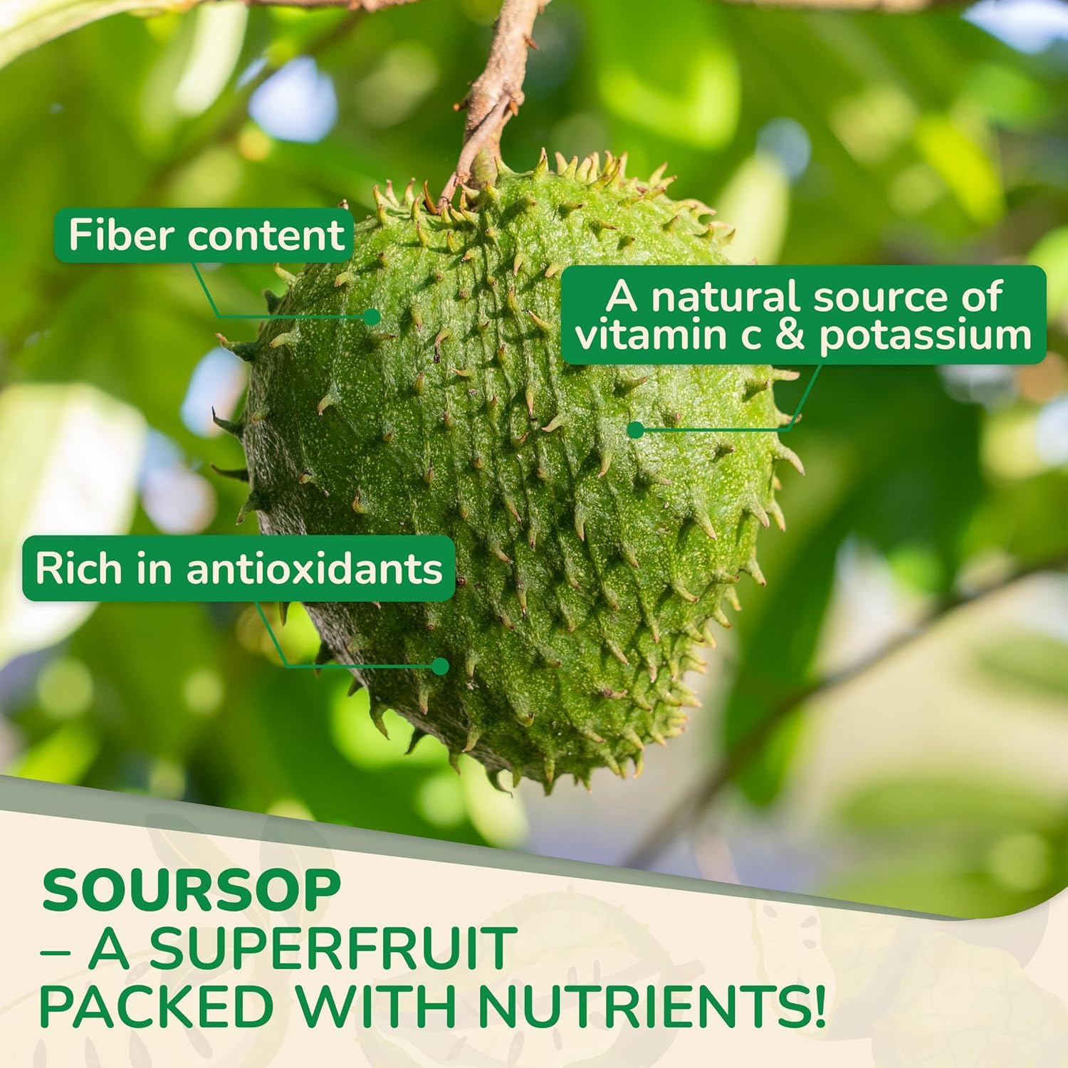 Gluten-free, non-GMO, vegan-friendly packaging label