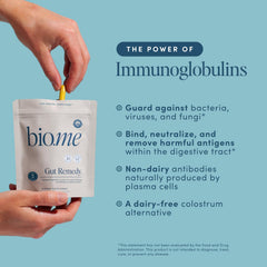 Berberine and digestive health concept
