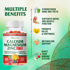 Ingredients panel for BionerLab Calcium Magnesium Zinc Gummies