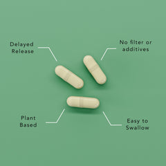 Probiotic capsules for oral and digestive health