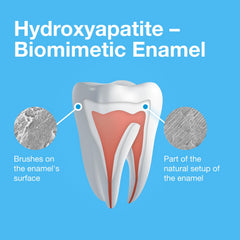 Definition of Bioniq and biomimetics concept
