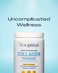 Close-up of multi-collagen ingredients (types I & III)